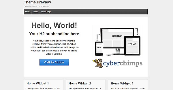 Download Responsive Theme