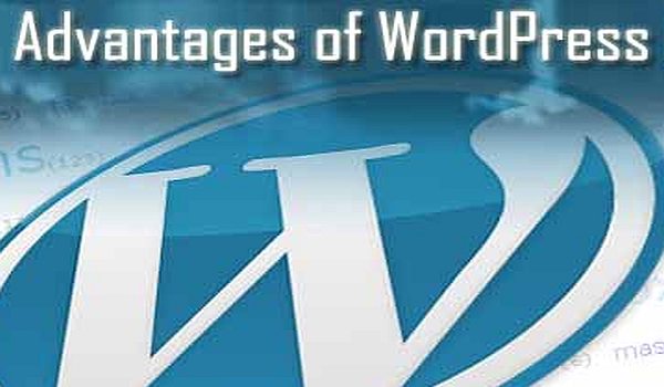 Top 4 Advantages WordPress Revealed!