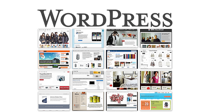 Best WordPress Themes with Great Features